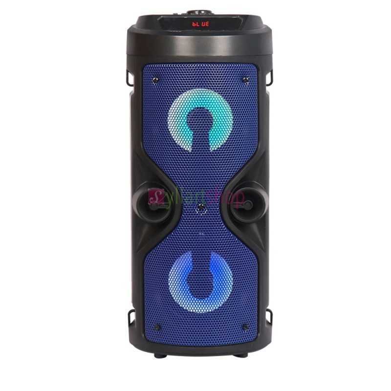 Haut parleur Bluetooth portable Karaoké ZQS-4209, ZQS-4210