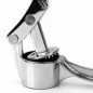 Presse Ail Professionnel Robuste Alliage Couleur Argent Nettoyage Facile Cuisine Presse Ail Professionnel Robuste Alliage Couleur Argent Nettoyage Facile Cuisine