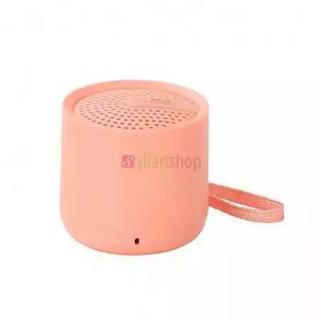 Mini haut parleur macaron de haute qualité WSTER WS301