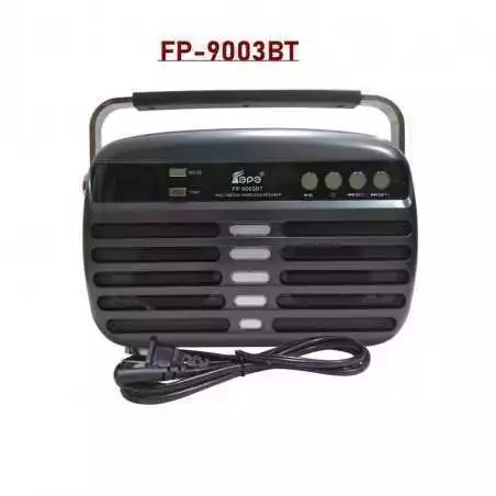 Radio stéréo rechargeable Bluetooth Fepe FP 9003BT avec Bluetooth sans fil