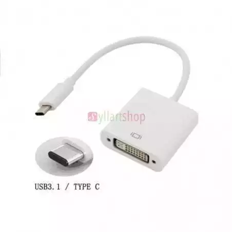 Adaptateur USB 3.1 type C vers DVI femelle