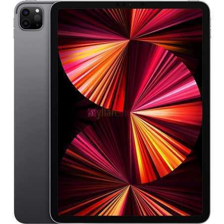 Apple iPad Pro (2021) 11 pouces 128 Go Wi-Fi Gris Sidéral