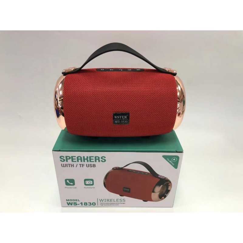 Enceinte bluetooth WSTER WS-1830 Enceinte bluetooth WSTER WS-1830