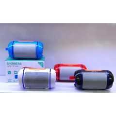 Haut parleur sans fil Bluetooth WSTER WS-1827