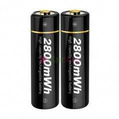 Micro USB Rechargeable Li-ion Batterie (2-Pack) BESTON 2AM-75 AA 1.5V 2800mWh