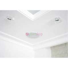 Haut parleur de plafond UKC CS-5500BM
