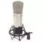 Microphone studio lectrostatique double diaphragme Behringer B-2 Pro