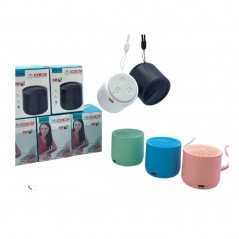 Enceinte bluetooth portable WSTER WS-307
