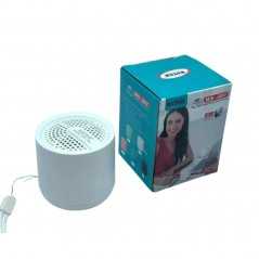Enceinte bluetooth portable WSTER WS-307