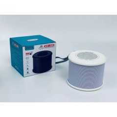 Mini enceinte Portable avec Bluetooth, TF, USB, FM, AUX WSTER WS-308