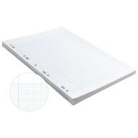 Copies doubles 100 pages perforées 21x29,7 cm 60g quadrillage reglure Séyès