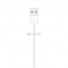 Câble de charge iPhone Lightning Type C vers USB (1 m)