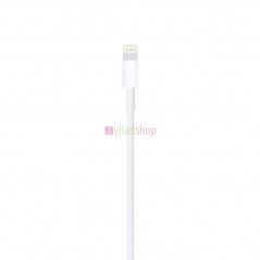 Câble de charge iPhone Lightning Type C vers USB (1 m)