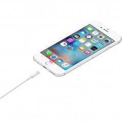 Câble de charge iPhone Lightning Type C vers USB (1 m)