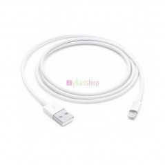 Câble de charge iPhone Lightning Type C vers USB (1 m)