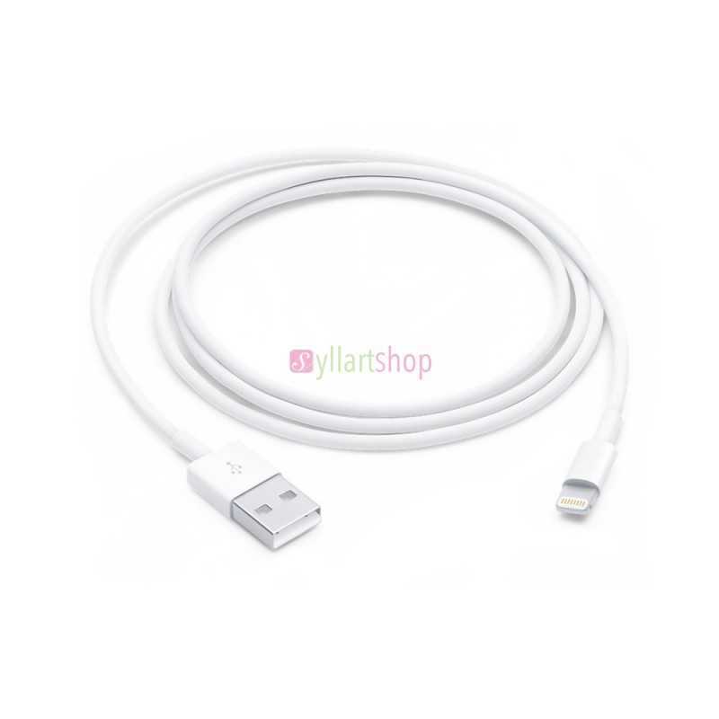 Câble de charge iphne original Lightning Type C vers USB (1 m)