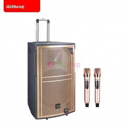 Haut parleur haute puissance subwoofer Qisheng LX-161 + double microphones sans fil