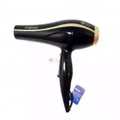 Sèche cheveux Baoshida bsd-3357 style salon de coiffure haute puissance dédié 3000 vent chaud