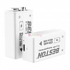 Batterie rechargeable au lithium-ion BESTON USB 9v 650mAh