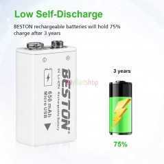 Batterie rechargeable au lithium-ion BESTON USB 9v 650mAh