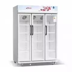 Réfrigérateur ASTECH avec vitrine 3 portes FV1600TD-GR
