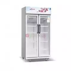 Réfrigérateur ASTECH FV590V avec vitrine 2 portes 600 Litres