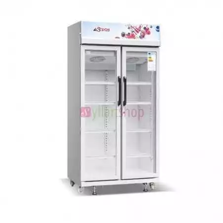 Réfrigérateur ASTECH FV590V avec vitrine 2 portes 600 Litres