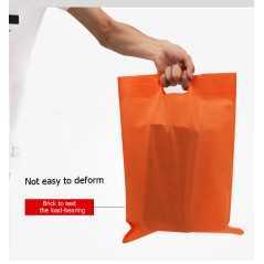 Sacs Fourre-Tout TNT Géants 40x50cm | 25 Unités | Personnalisation