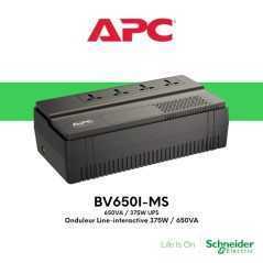Onduleur line-interactive APC BV650I-MS