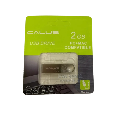 Clé USB 2.0 CALUS 2 Go