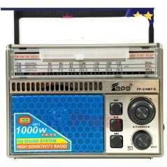 Radio solaire rechargeable et lecteur de musique Bluetooth USB-TF haut de gamme FEPE FP-310BT-S