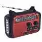 Radio Solaire Rechargeable FP-295-S FM AM SW avec Torche et Port usb