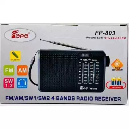 Radio portable Fepe FP-803 rechargeable 3.7v 500mAh Lithium FM/AM/SW1/SW2
