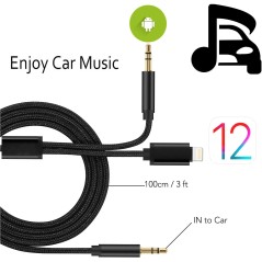 Câble Audio Auxiliaire 2 en 1 | Connecteurs Lightning & USB-C vers Jack 3.5mm | Audio Hi-Fi