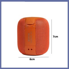 Enceinte Bluetooth sans fil WSTER WS-305 Audio Bluetooth carte USB