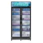 Réfrigérateur vitrine 2 portes HISENSE FL-99WC beverage cooler 758 litres