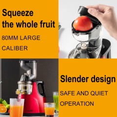 Extracteur de jus lent Sonifer SF-5537 150W