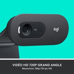 LOGITECH C505e webcam Caméra HD 720p microphone omnidirectionnel avec réduction de bruit champ de vision 60° clip universel