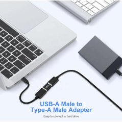 Adaptateur OTG coupleur USB 3.03.1 Type A mâle vers USB A mâle