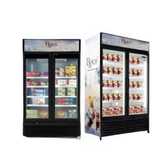 Réfrigérateur vitrine 2 portes vertical ROCH RSF700SEO 700 litres