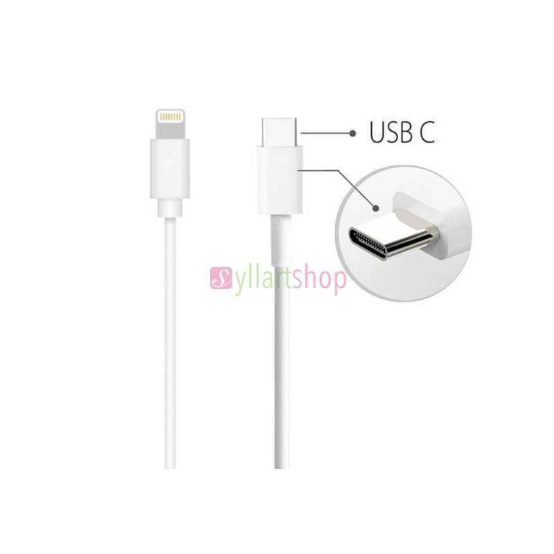 Câble de charge Apple USB-C vers Lightning