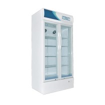 Réfrigérateur vertical 2 portes SOLSTAR VC9000 avec vitrine