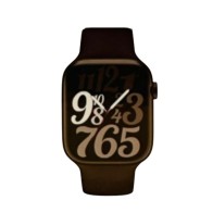 Montre Connectée Wster WS-GS38