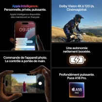 iPhone 16 Pro Max (Gold) | 256 Go