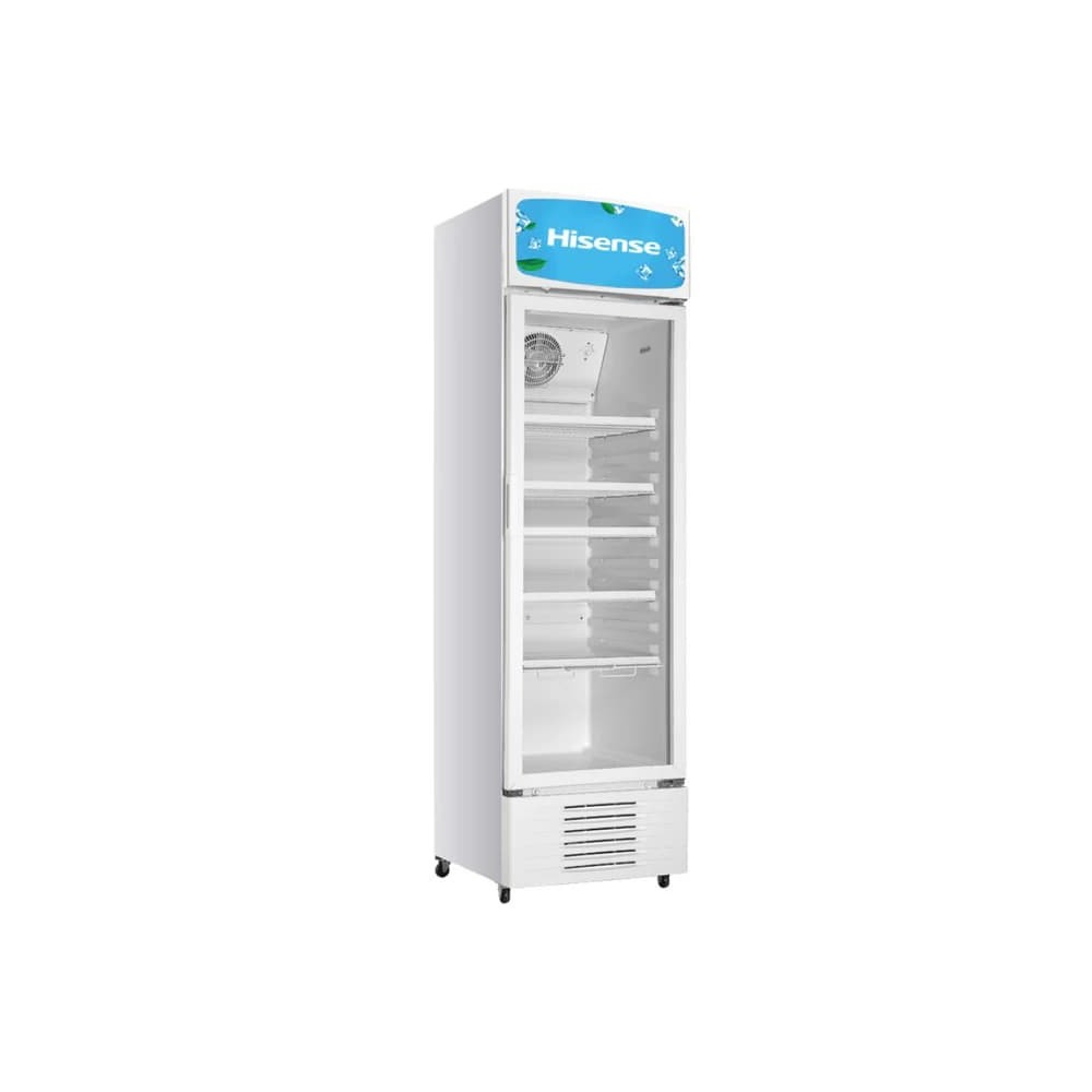 Réfrigérateur Hisense FL-50FC 382L | Vitrine Réfrigérée Commerciale XXL