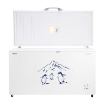 Hisense FC-55DD4SA : Congélateur Coffre Ultra-Large 550 Litres