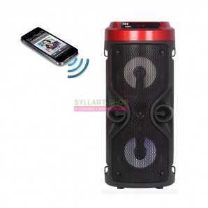 Haut parleur portable sans fil Super Bass BT ZQS-4210