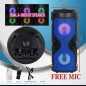 Haut parleur Bluetooth portable Karaoké ZQS-4210 Haut parleur Bluetooth portable Karaoké ZQS-4210