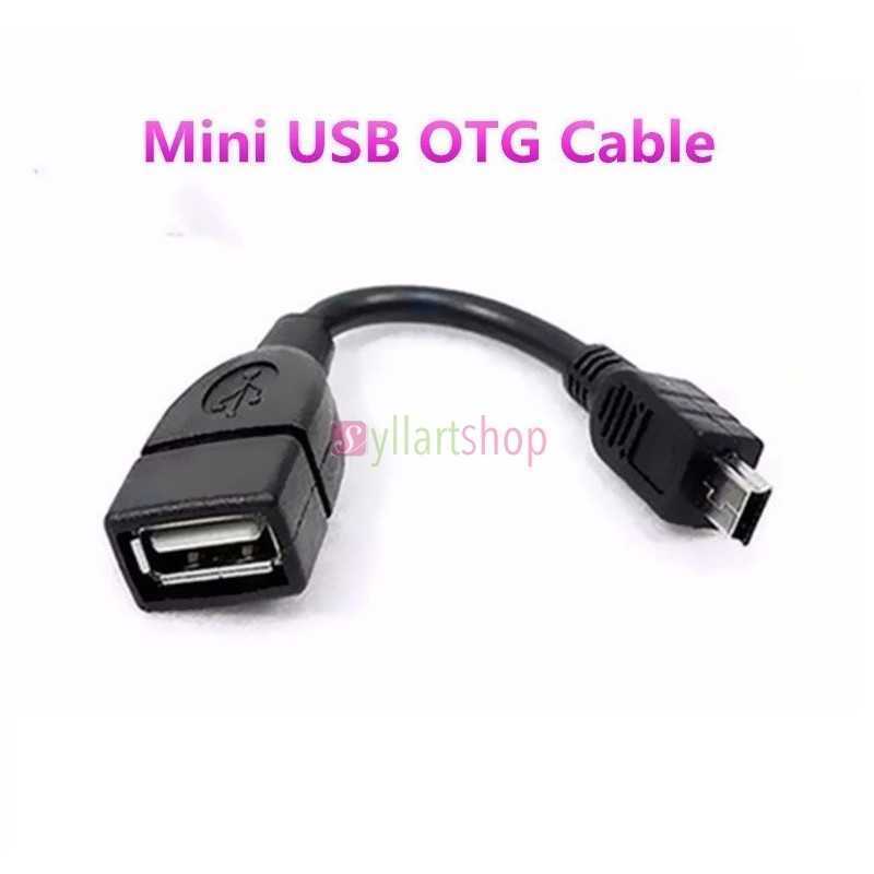 Adaptateur Câble OTG Mini-USB 5P/V3 | Port USB pour Voiture Audio, Tablette & Téléphone
