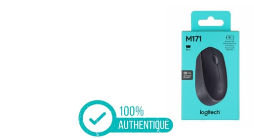 Souris Logitech M171